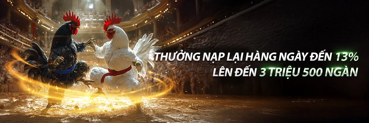 Đá gà trực tuyến hấp dẫn tại 77 Ball cổng game chính thức